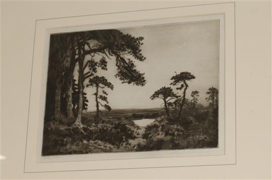 Alexander Turnbull, etching, Early Morn, signed in pencil, 7 x 9.5in.